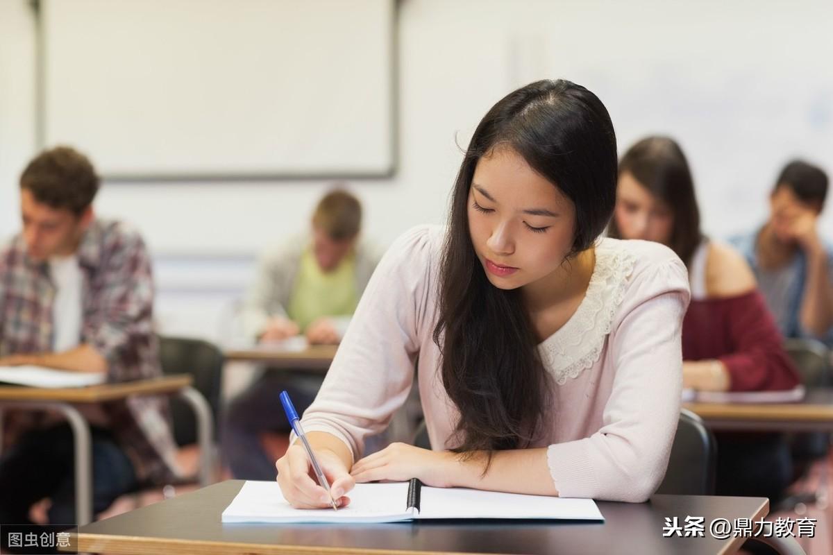 成人高考培训机构与大学学校的协同发展，共筑教育未来之路