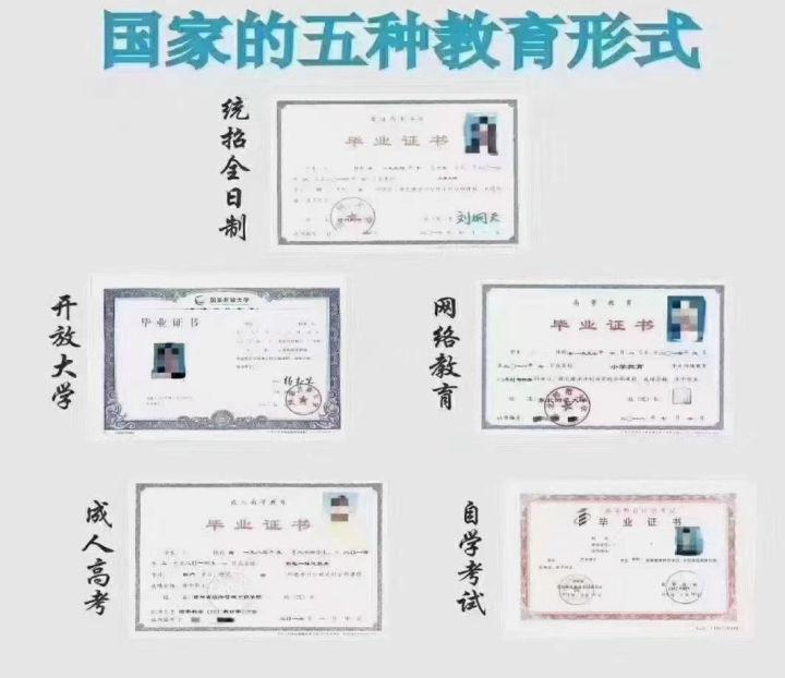 成人教育排行榜前十名，引领终身学习的典范