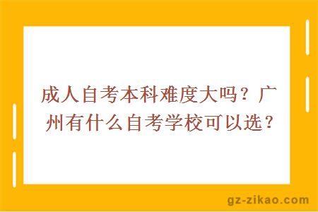 成人本科考试难度解析，挑战与机遇并存