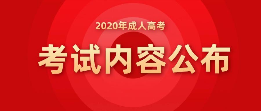 成人高考考试内容全面深度解析