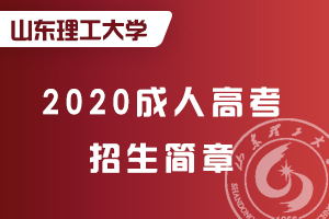 山东省XXXX年成人高等教育招生简章——黄金机遇，迈向成功之路