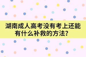 成人高考网课未学可重学吗？探讨可能性与策略