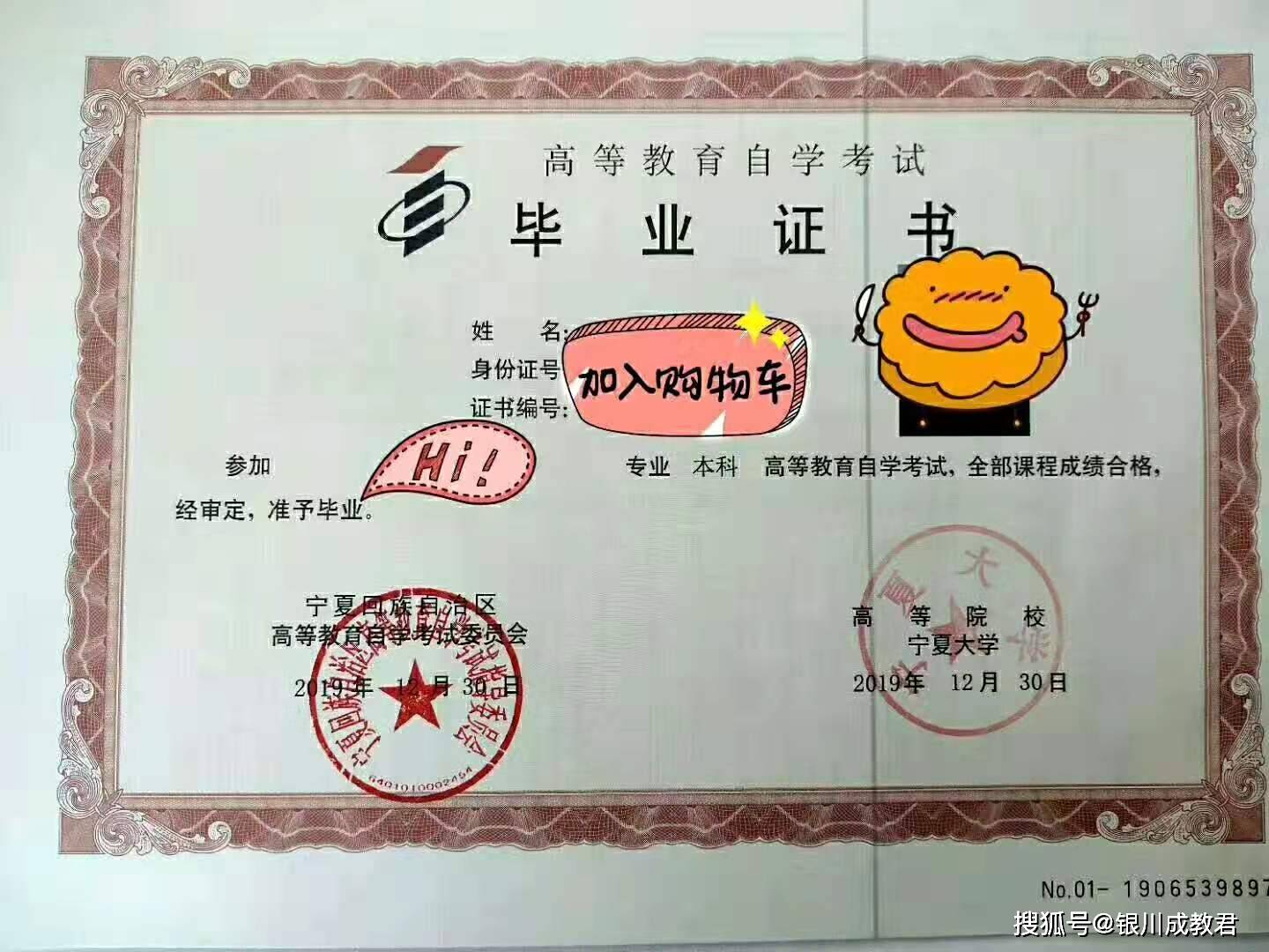 宁波大学自考本科文凭，探索与机遇之路