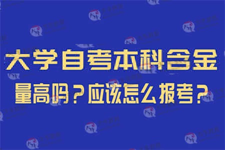 自考本科含金量深度解析，究竟有多少价值？