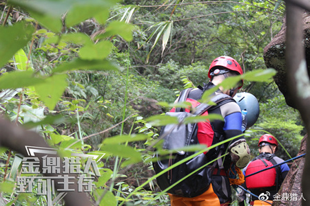 南京迎来首支野猪赏金猎人团，生态保护新尝试的启航