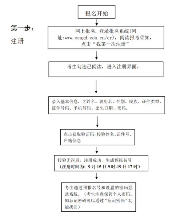 成考报名审核流程图，详细解读步骤与流程