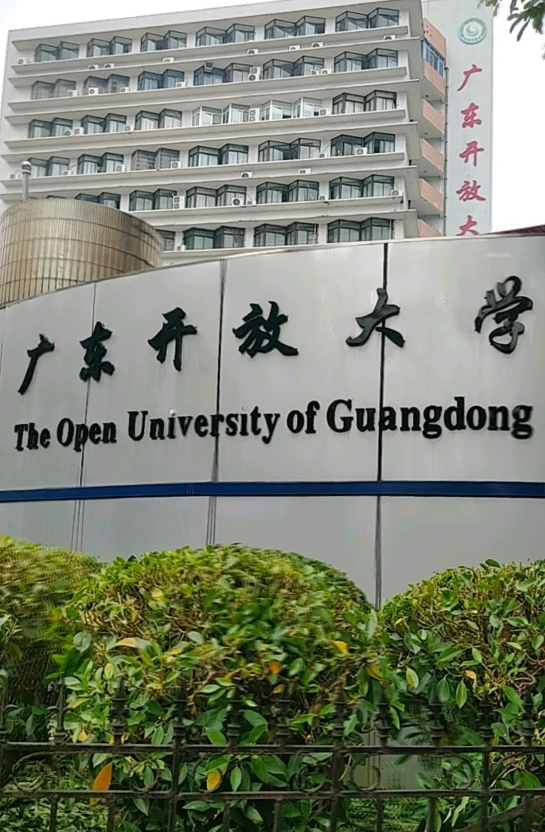 广东开放大学口碑深度解析，教育质量、师资、学生满意度与社会认可度全视角考察