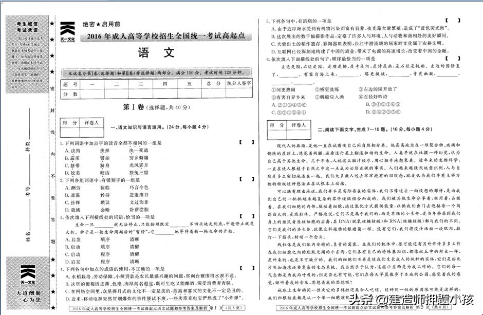 成人提高语文能力的必要性与策略探讨