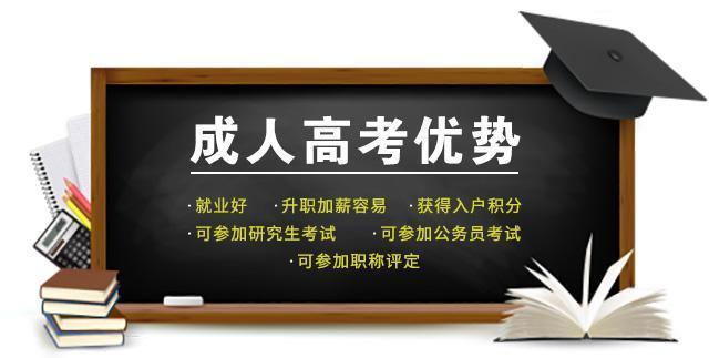 成考语文难易程度解析与应对策略探究