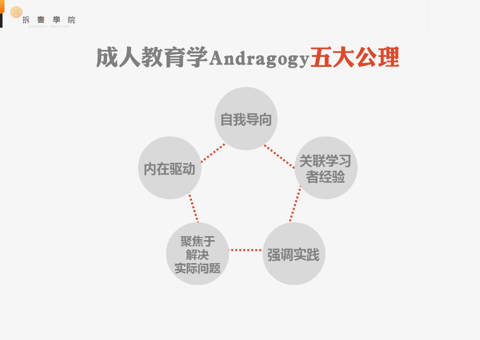 成人教育课程设计，打造实用与灵活的学习体验