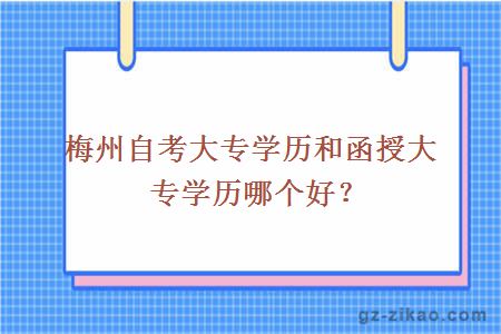 自考大专机构选择指南，深度解析与对比