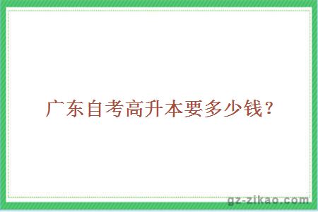 自学考试辅导班价格深度解析，费用构成与影响因素探讨