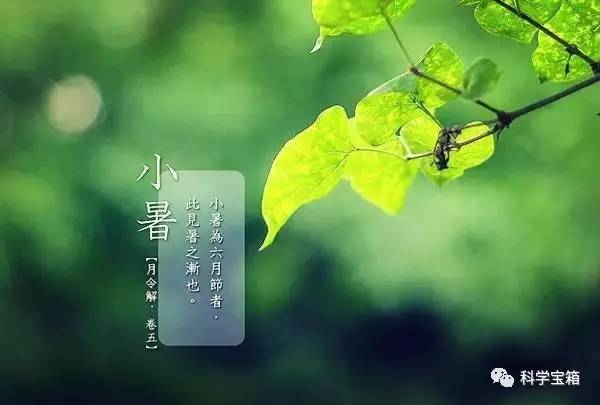 小暑六月节，意义与深层内涵解析