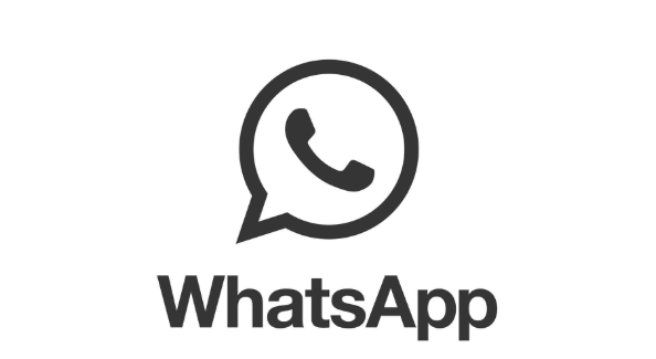 WhatsApp软件简介，中文译名、功能与特点解析