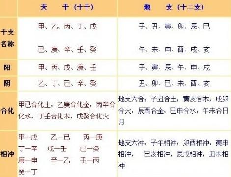 天干地支与中西文化交融，天干地支英文解读探究