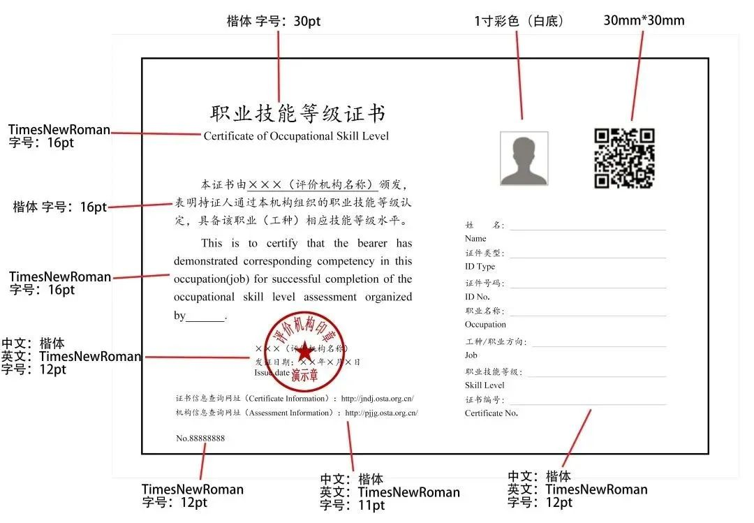 职业技能证书查询官网入口，职业技能验证新天地探索