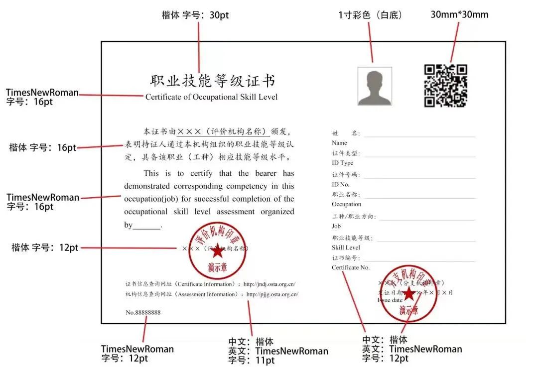 全国职业技能等级证书网，技能社会新里程碑的构建者