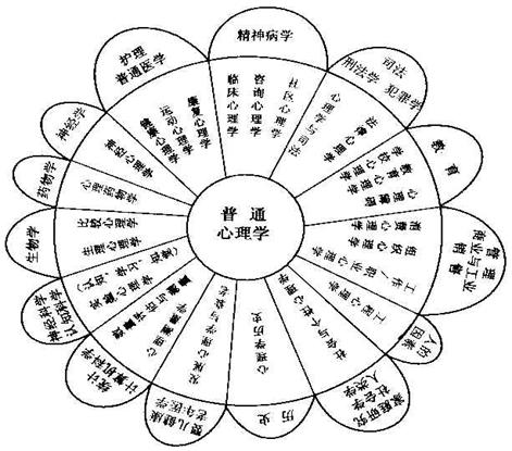 成人高考心理学类别解析，深入探究与探究心理学所属领域