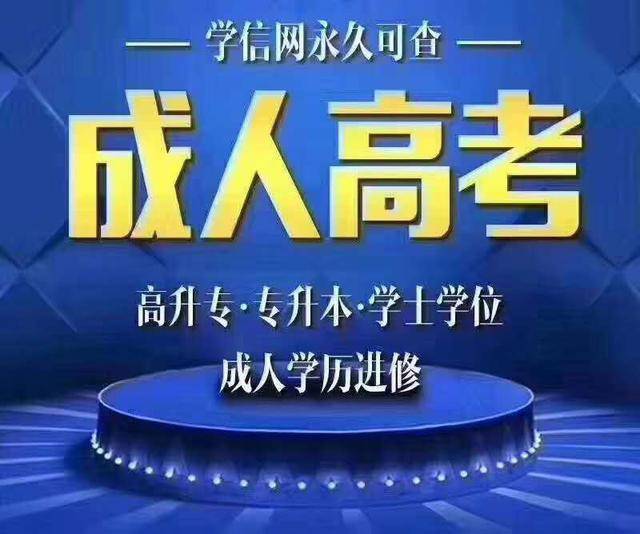 2024年12月2日 第8页