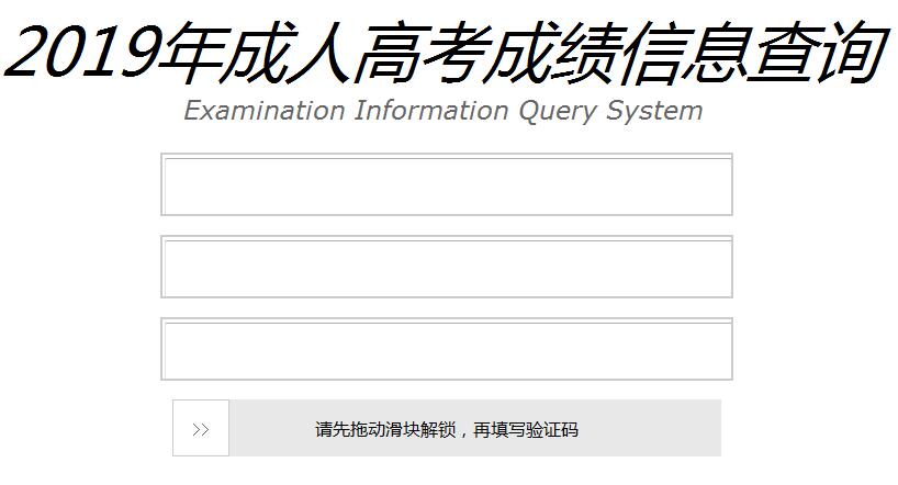 成人继续教育考试成绩查询，便捷途径与策略解析