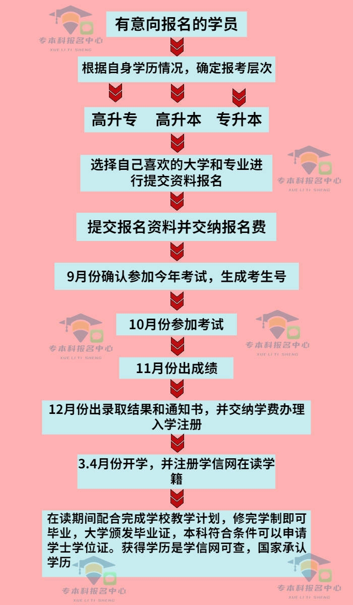 关于大专报名时间的详细解读，2024年报名时间解析