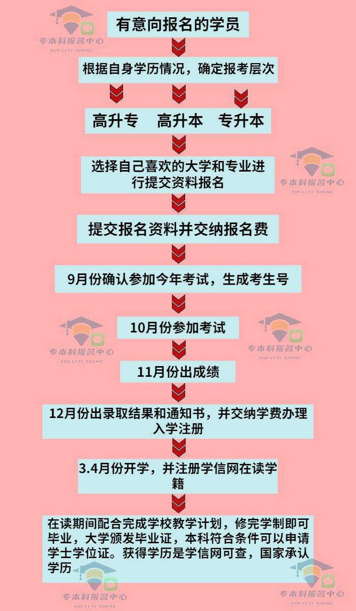 关于成人高考改革的真实性探讨，探究未来至2025年的变革之路