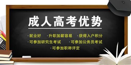 成人高考经验分享，如何成功迈向高等教育之门？