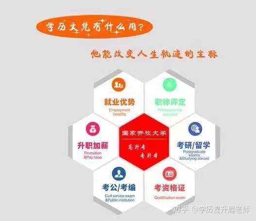 成人教育信息网真实性解析，深度探究与实用指南