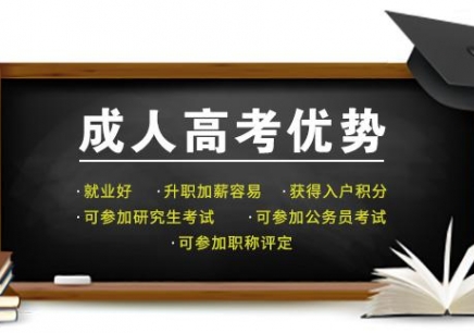 成人在线课程推荐，探索知识新领域，远离不良内容