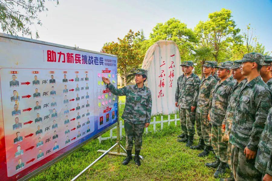 成人目标规划，探索人生蓝图之旅