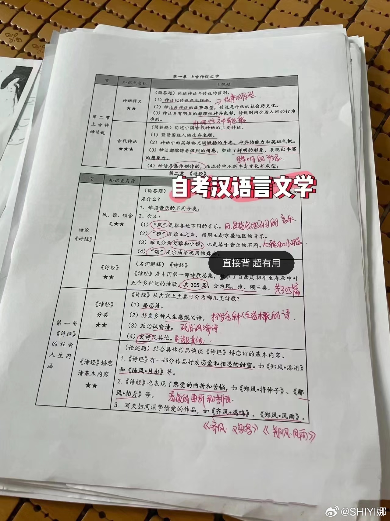 成人自考汉语言文学考试内容及解析概览