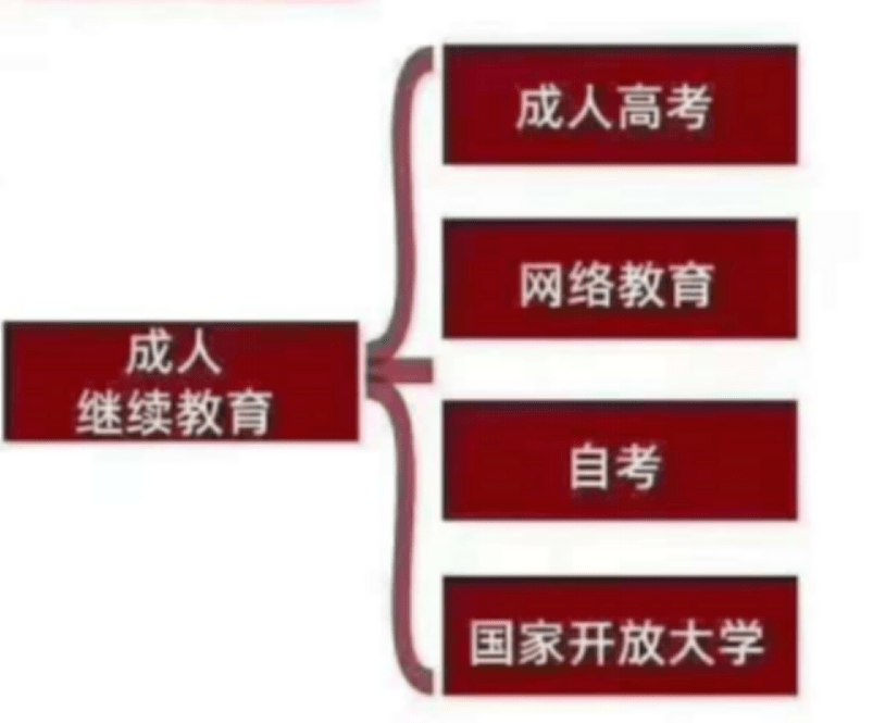 成考改革后含金量深度探讨