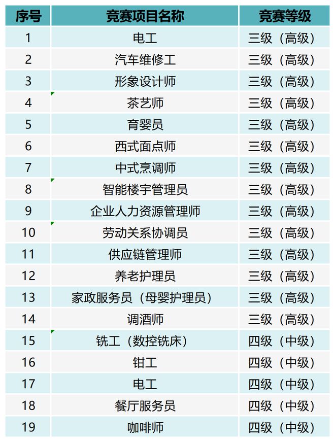 职业技能等级报名官网，技能提升，未来可期