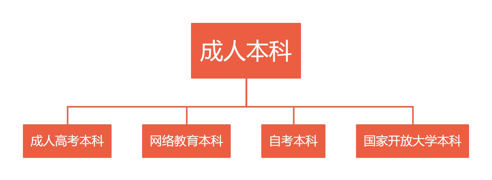 成人本科考试途径与策略详解指南