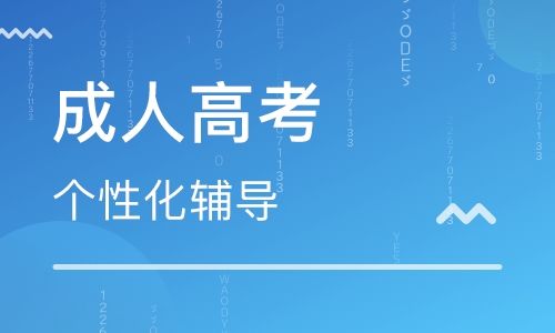 成人教育费用，理解、规划与应对策略