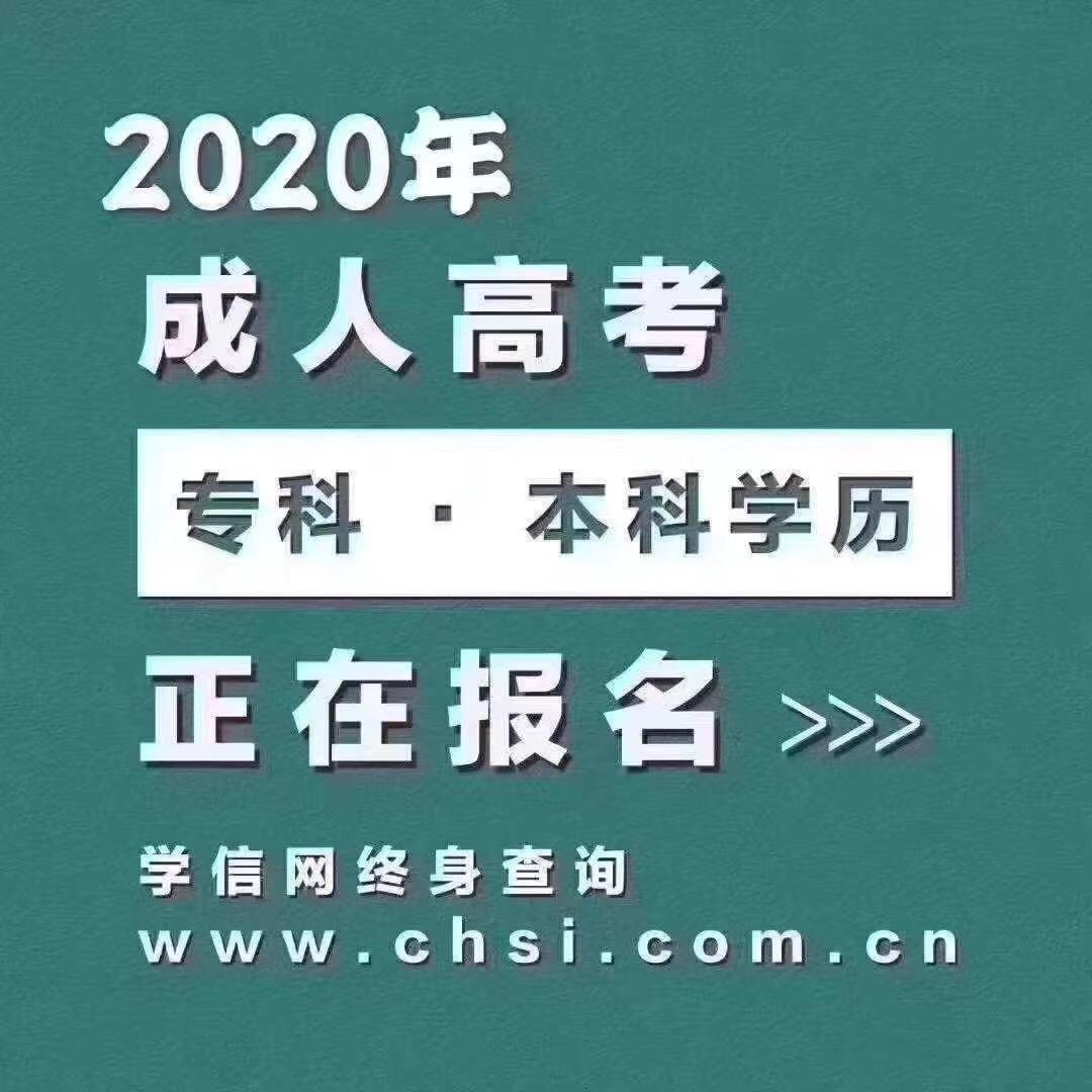 成人高考本科报名，探索机遇，开启未来之路