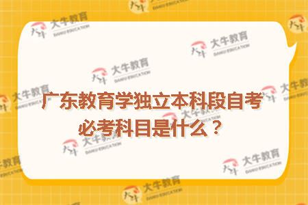 自考教育本科考试内容全面解析，考试科目一览