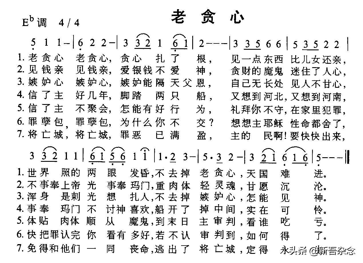 职场成长之路，自我提升与探索之旅