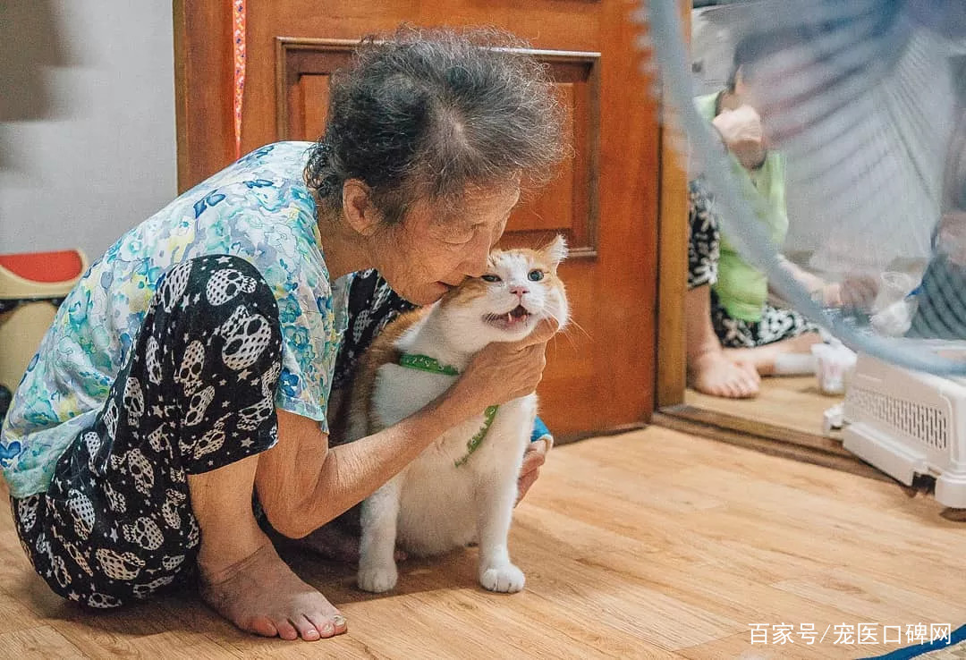 奶奶抚养下的毛孩子，家庭的爱与成长之旅