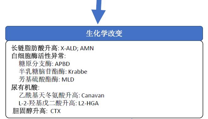 成人教育申请流程图模板详解