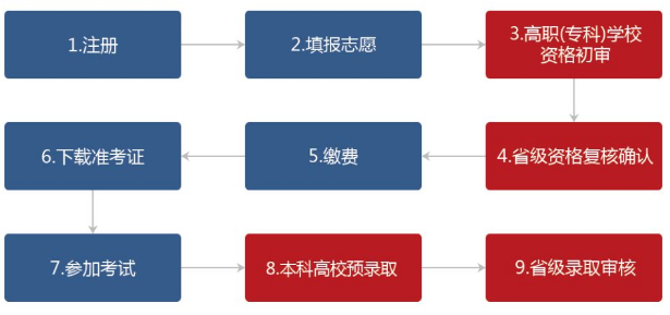 专升本报考攻略，迈向更高学历的必备指南