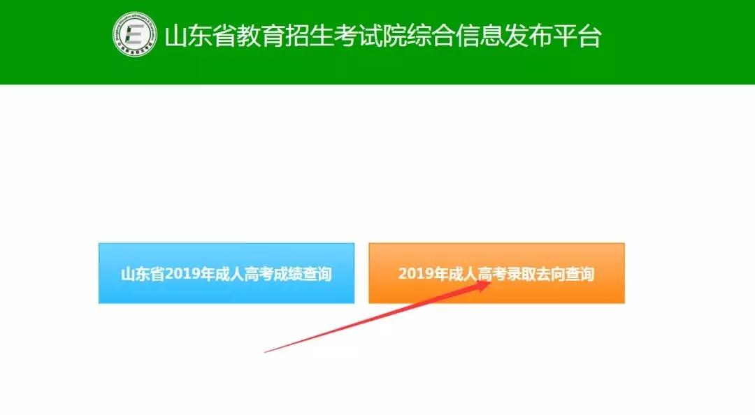 山东教育考试院官网，考试信息的权威发布平台