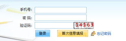 成考报名系统入口官网全面解析