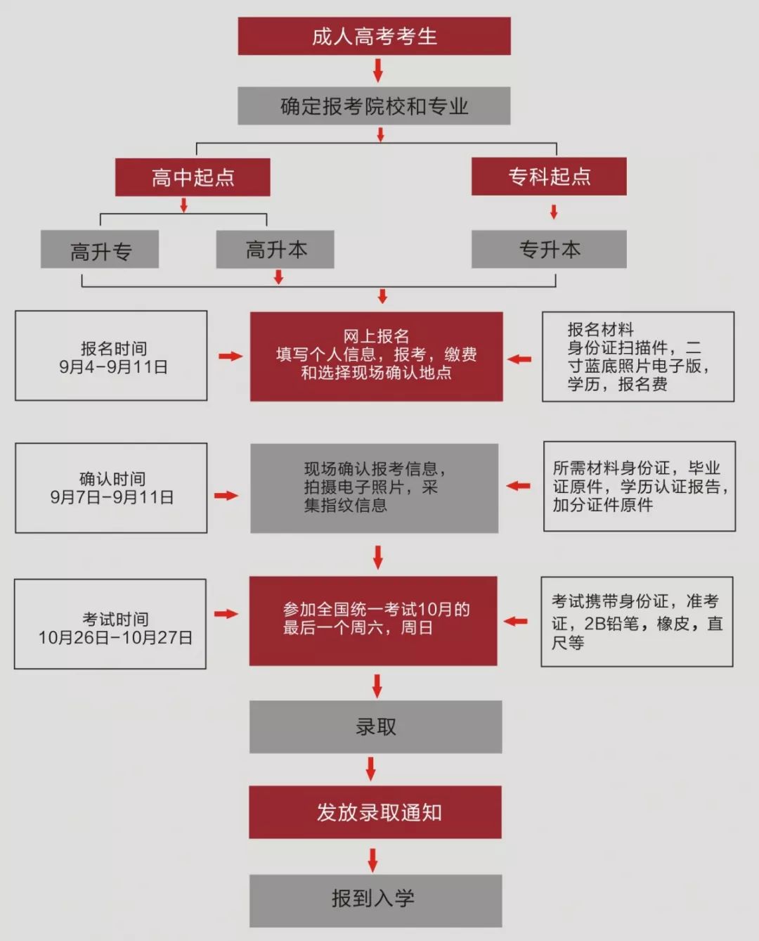 2024年12月15日 第8页