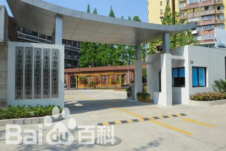 上海成人继续教育学院官网，成人教育无限可能性探索