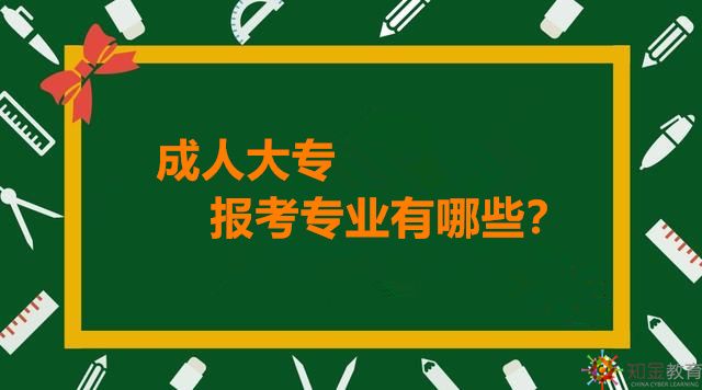 报成考选择哪些专业最佳？全面解析及前景展望