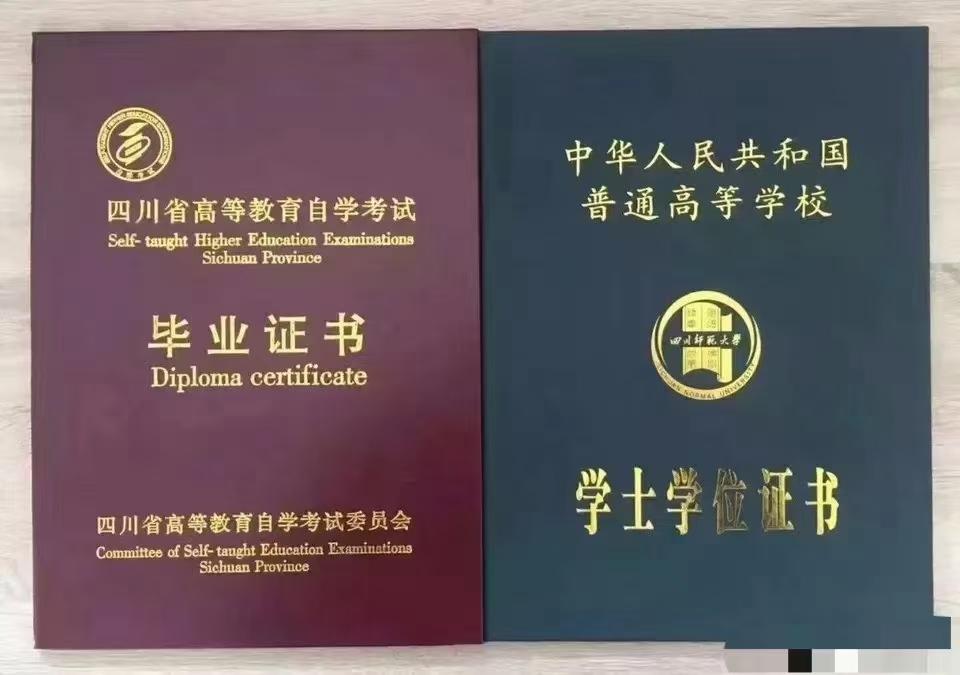 成人学历含金量高的专业推荐，热门与实用专业选择指南