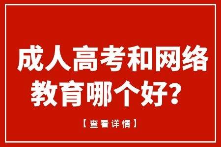 2024年12月18日 第11页