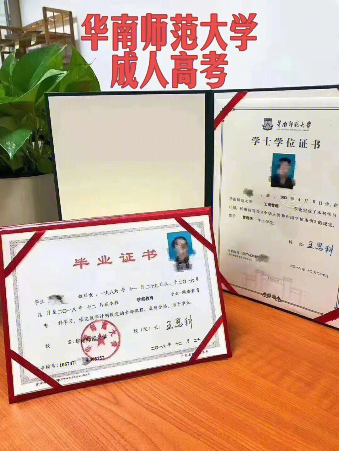 成人高考学位证书的重要性与实用价值解析