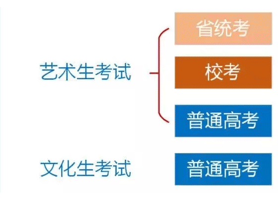 艺考生群体的成人条件与内涵深度解析